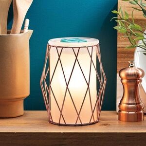 Scentsy Wire You Blushing Plug In Warmer‎ Night Light